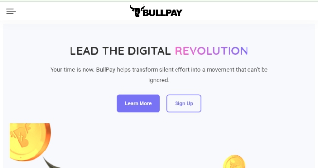 Bullpay.buzz Review And Payment proof