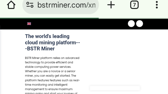 Bstrminer.com Review